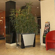 B360