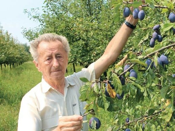 Jesenná výsadba a rez ovocných drevín