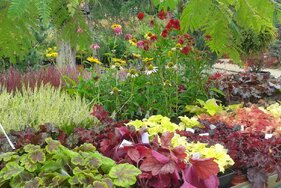 kvety a záhrada - najkrajšie rastliny a dreviny v bohatom sortimente