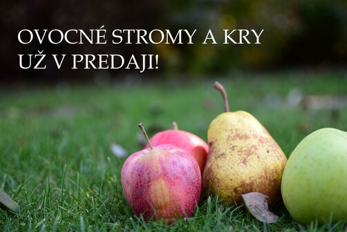 Ovocné stromy a kry už v predaji