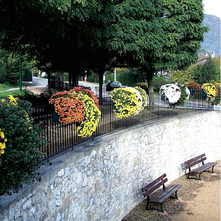 Závesné kvetináče a zostavy pre kvetinovú výzdobu zábradlí a mostov